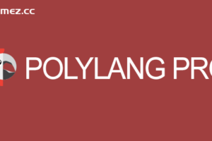 Polylang Pro v3.5.2 – 多语言插件