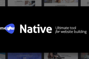 Native v1.6.9.2 – 时尚多用途创意WP主题