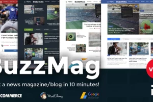 BuzzMag v2.3 – 病毒新闻 WordPress 杂志/博客主题