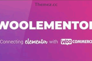 CoDesigner Pro v4.0 (formerly Woolementor)