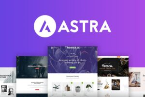 Astra Pro Addon v4.6.1 – 适合任何网站的完美主题