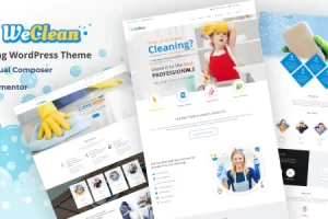 We Clean v3.5 – 清理 WordPress