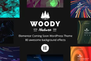 Woody v6.0.0 – Elementor 即将推出 WordPress 主题