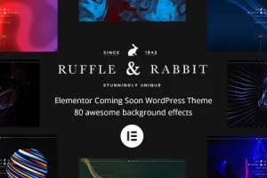 Rabbit v6.0.0 – Elementor 即将推出 WordPress 主题