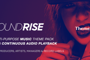 SoundRise v1.6 – 艺术家、制作人和唱片公司主题