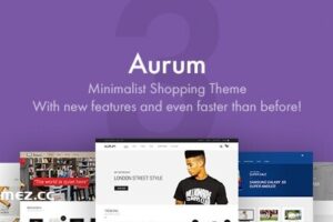 Aurum v3.29 – 极简购物主题