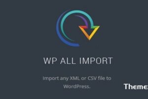 WP All Import Pro v4.8.7 beta11