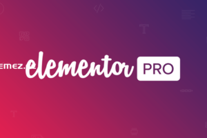 Elementor Pro v3.19.2