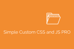 Simple Custom CSS and JS PRO v4.36