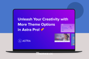 Astra Pro Addon v4.6.4 – 适合任何网站的完美主题