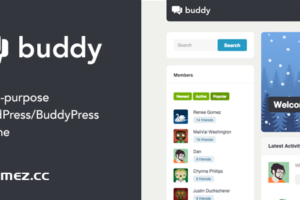 Buddy v2.23.1 – 多功能 WordPress / BuddyPress 主题