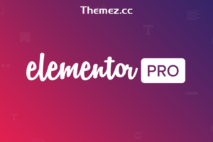 Elementor Pro v3.20.3