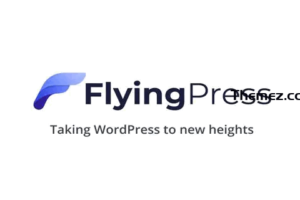 FlyingPress v4.11.0 – 将 WordPress 推向新高度