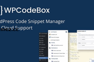 WPCodeBox v1.1.0 – 代码片段插件