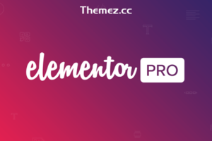 Elementor Pro v3.21.3