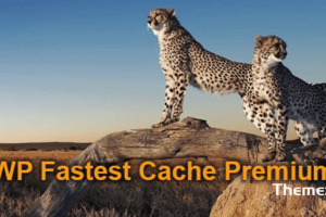 WP Fastest Cache Premium v1.7.1