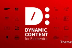 Dynamic Content for Elementor v2.13.10