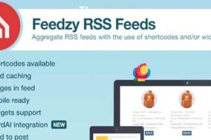 Feedzy v2.4.6 – RSS Feeds 高级 WordPress 插件