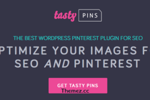 Tasty Pins v2.1.1 – 针对 SEO 和 Pinterest 优化您的图片