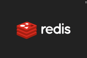 Redis Cache Pro v1.21.0