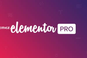 Elementor Pro v3.22.1