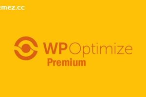 WP-Optimize Premium v3.4.2