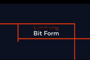 Bit Form Pro v2.7.2 – WordPress 中的终极表单生成器