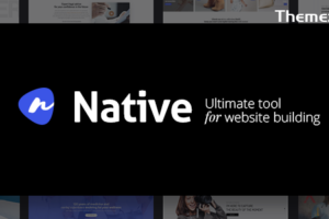 Native v1.6.9.5 – 时尚多用途创意 WP 主题