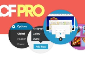 Advanced Custom Fields Pro v6.3.4