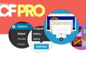 Advanced Custom Fields Pro v6.3.5