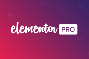 Elementor Pro v3.23.0