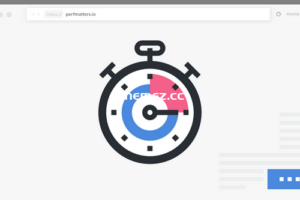 Perfmatters v2.3.2 – 轻量级性能插件