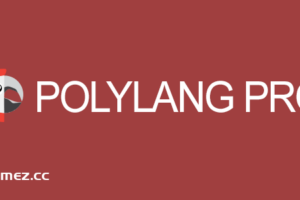 Polylang Pro v3.6.4 – 多语言插件