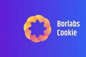 Borlabs Cookie v3.1.2 – GDPR 和 ePrivacy WordPress Cookie 选择加入解决方案