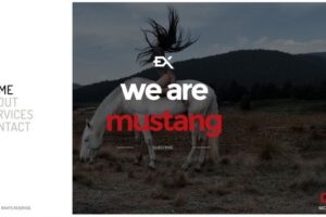 Mustang – 响应式即将推出页面