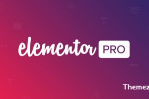 Elementor Pro v3.24.1