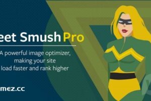 WP Smush Pro v3.16.7 – 图像压缩插件