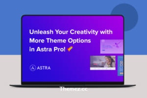 Astra Pro Addon v4.8.1 – 适合任何网站的完美主题