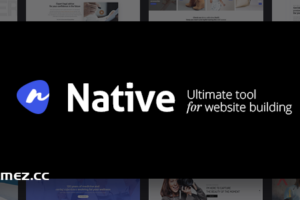 Native v1.6.9.7 – 时尚多用途创意 WP 主题