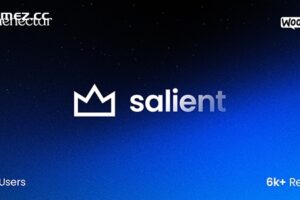 Salient v17.0.0 – 创意多用途 & WooCommerce 主题