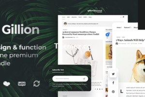 Gillion v4.11 – 多概念博客/杂志和商店 WordPress 主题