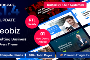 Reobiz v5.1.4 – 咨询业务 WordPress 主题