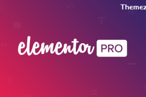 Elementor Pro v3.24.3