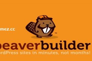 Beaver Builder Pro v2.8.4.1