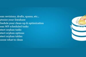 WordPress Advanced Database Cleaner v3.2.10