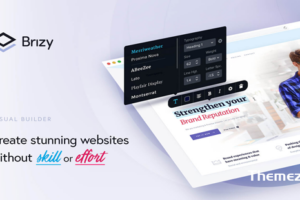 Brizy Pro v2.5.2 – WordPress Builder 插件