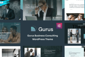 Gurus v1.0.4-商业咨询 WordPress 主题