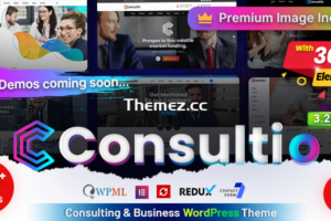 Consultio v3.2.3 – 咨询公司