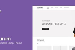 Aurum v4.0.1 – 简约购物主题
