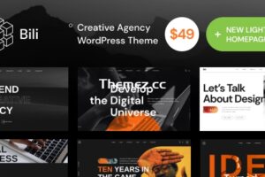 Bili v1.1.13-创意代理WordPress主题